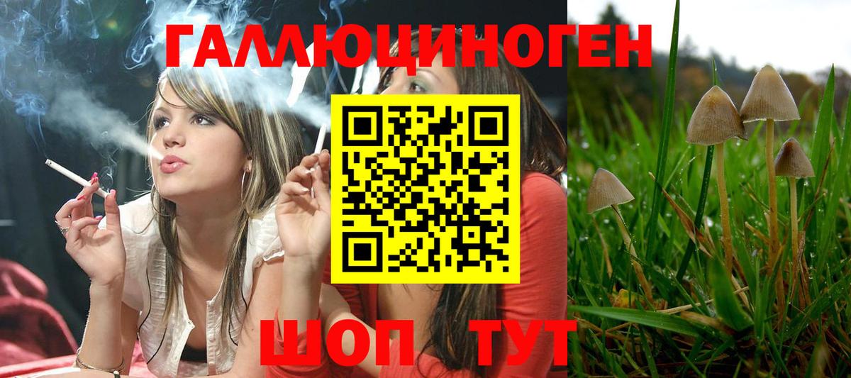 Псилоцибиновые грибы Magic Shrooms Ноябрьск