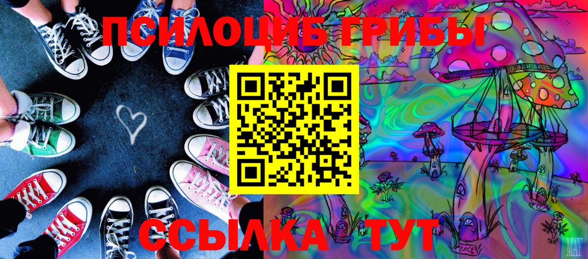 Галлюциногенные грибы Psilocybine cubensis  Вход с VPN  Ноябрьск 